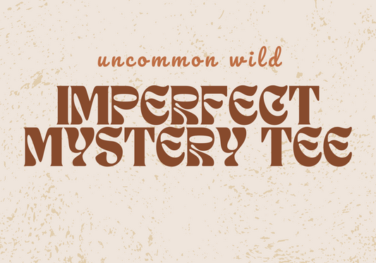 IMPERFECT MYSTERY GRAPHIC TEE